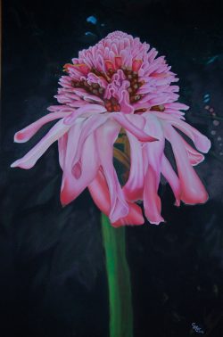 Hellconia
By Carol Cole Mar