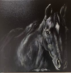 Black Beauty
By Maggie Tippetts