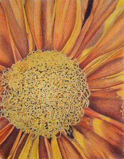 Autumnal
By Rijuta Gaulkar