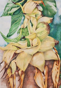 Seasons
By Christina Rosepapa