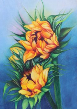 Sunflower Duet
By Christina Rosepapa