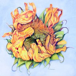 Resilience
By Christina Rosepapa