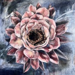 First Light
By Rebekah Vermeulen