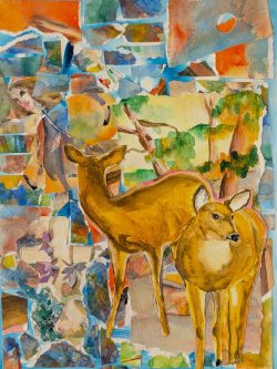 Looking Back
By Linda-Smith