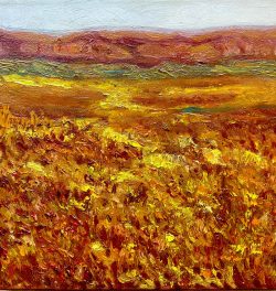 Desert Bloom
By Suzanne Rios