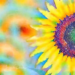 Jazzy Sunflower
By Brenda Priddy
