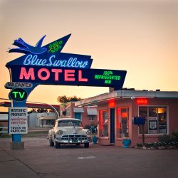 Blue Swallow
By Dale Kesel