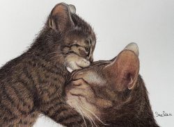 A Mothers Reward
By Sue Stahl