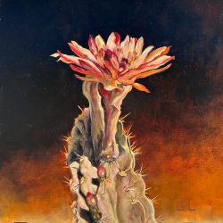 Queen of the Night
By Linda Dugan Landry