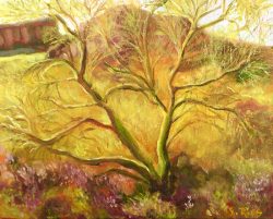 Picacho Spring
By Suzanne Rios