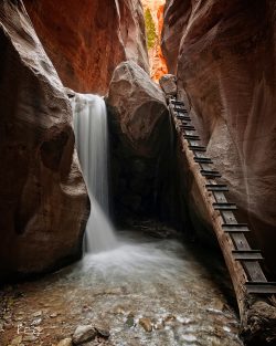 Kanarra Creek Falls
By Dale Kesel