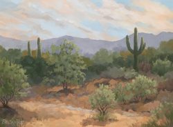Early Light, Oro Valley
By Laurie Beckman