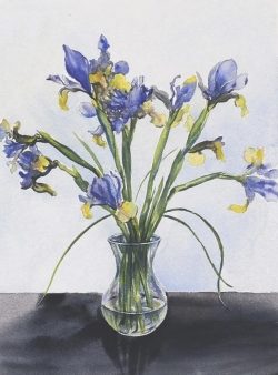 Blue Iris
By Paula Cheadle