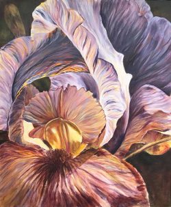 Iris
By Jo Ellen Delcoure