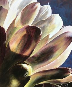 Morning Cereus
By Jo Ellen Delcoure