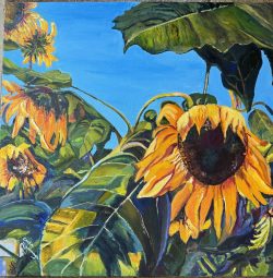 Basking in the sun
By Carla Lizarraga