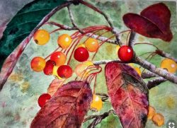 Autumn’s Pallet
By Linda McGuinness