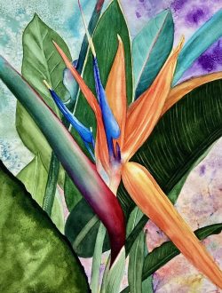 Bird of Paradise
By Linda McGuinness