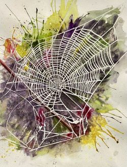 Step into my Web
By Linda McGuinness