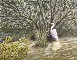 White Heron
By Terry Singleton