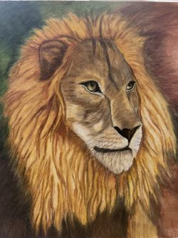 King
By Linda Suarez