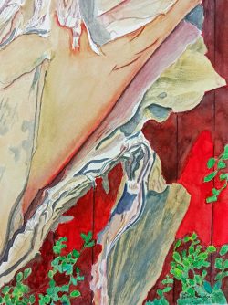 Tree Trunk Curls
By Linda Taylor