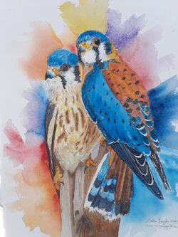 Blue Mates
By Linda Taylor