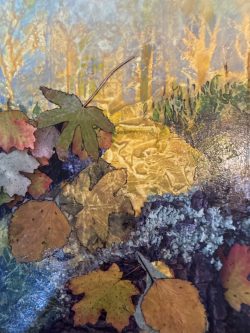 Destiny of nature
By Barbara Usey
